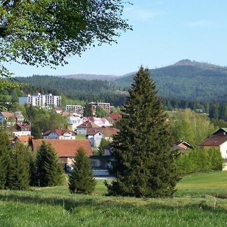 Haus Hochstein Aparthotel Haidmühle Esterno foto