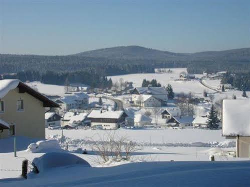 Haus Hochstein Aparthotel Haidmühle Esterno foto