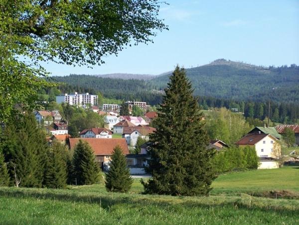 Haus Hochstein Aparthotel Haidmühle Esterno foto